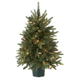 National Tree Company Artificial Christmas Tree For Entrances | Includes White Lights and Pot | Everyday Collections - 3 ft National Tree Company