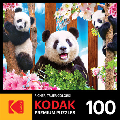 RoseArt - Kodak Premium - Panda Playtime - 100 Piece Jigsaw Puzzle for Adults