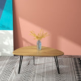 Manora Modern Mid Century Coffee Table, Oval Triangle Wood Center Table with Sturdy Metal Legs, Stylish Living Room Accent Table for Small Spaces Manora