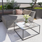 Glass Coffee Table Modern Center Table,Minimalist Coffee Table Sofa Side Tea Table for Living Room,Tempered Glass-top with Sturdy Metal Frame, Easy Assembly,26.4 x 26.4 x 15.7 Inches, Black Easy Paws