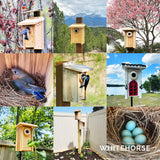 WHITEHORSE Bird Houses for Outside - Weatherproof Bird House for Outdoors - Cedar Bluebird House Built to NABS Specs - Nest Box for Bluebirds, Chickadees, Titmice, Wrens, Nuthatches & More (15” Floor) WHITEHORSE