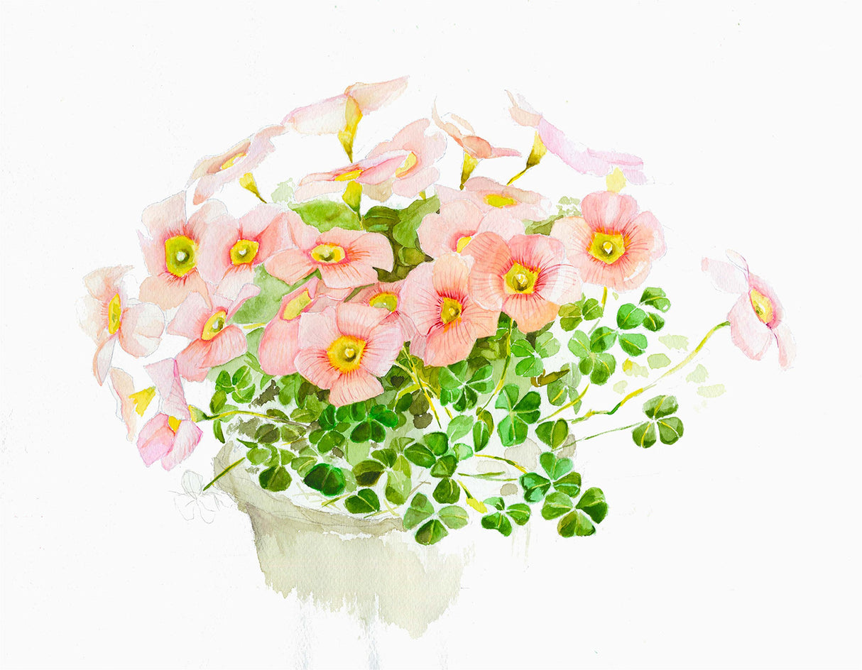 Muse HW-301 SM Watercolor Paper White Watson Block SM 10.6 oz (300 g), White, Pack of 15 ミューズ(Muse)