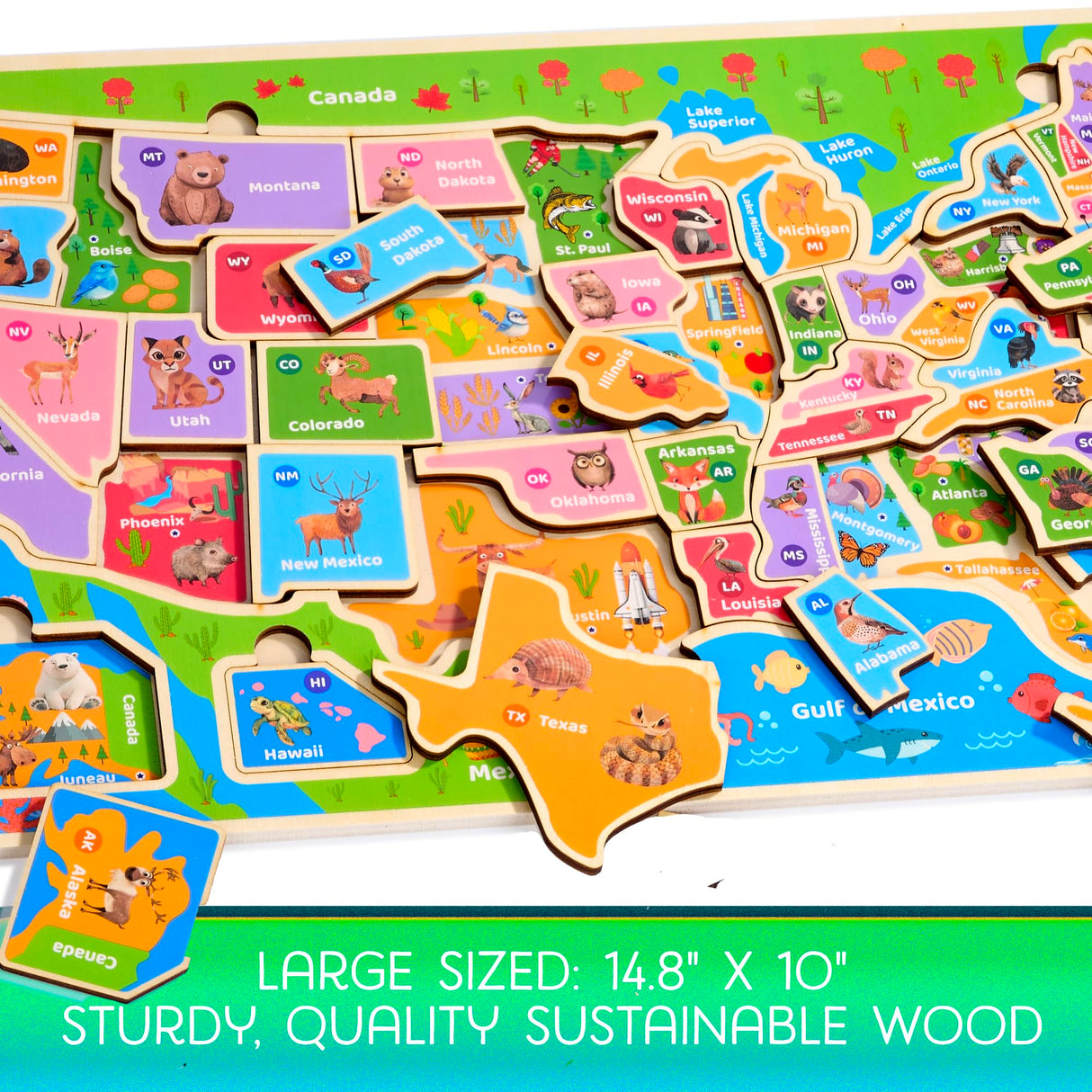 Montessori Mama Wooden USA Map Puzzle and World Continents and Oceans Map Puzzle (USA Map Puzzle) Montessori Mama