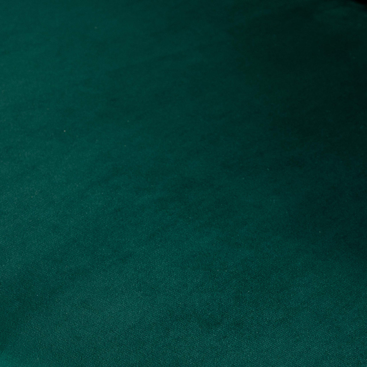 Roundhill Furniture Slatina Green Silky Velvet Upholstered Accent Chair with Gold Tone Finished Base Roundhill Furniture