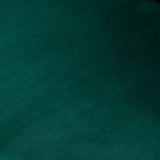 Roundhill Furniture Slatina Green Silky Velvet Upholstered Accent Chair with Gold Tone Finished Base Roundhill Furniture