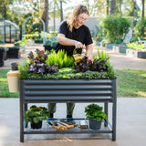 Elevated Raised Garden Bed-V Series, 2' x 4' Garden Beds with Legs & Storage Rack for Patio Porch, 700 Lbs Weight Capacity, Outdoor Planter Boxes for Gardening Herbs Vegetables Flowers, Pearl White Vego garden