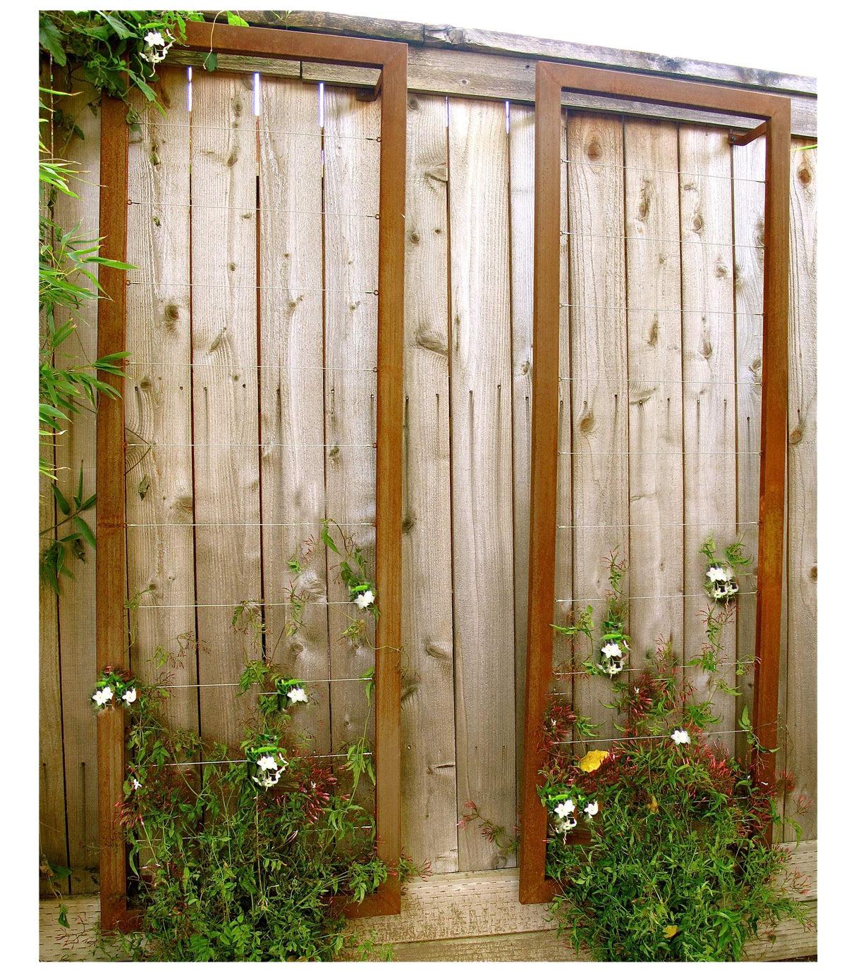 TERRA TRELLIS Ina Modern Wall Trellis for Outdoor Plants | Garden and Home Climbing Vines Wall Trellis | Modern, Steel & Durable | Large (Oxide) Terra Trellis