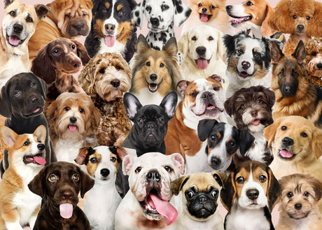 PETER PAUPER PRESS All The Dogs 1000 Piece Jigsaw Puzzle PETER PAUPER PRESS