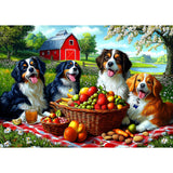 Puzzles for Adults 500 Pieces Cute Dogs Jigsaw Puzzles 500 Pieces Difficult Fun Puppy Autumn Picnic Unique Family Puzzle Challenging Games Gift for Teens Kids Adults (21"x15") MINIWAN