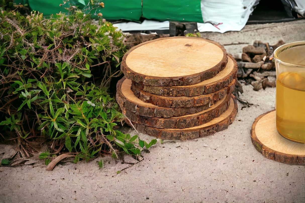 Alpha Living Home Table Coasters Wooden Coaster Drink Coasters for Tabletop Protection Outdoor Coasters Coffee Table Coasters Set of 12 - Cup Mat Rectangular Drink Hot Pads Mats Set - Natural Alpha Living Home