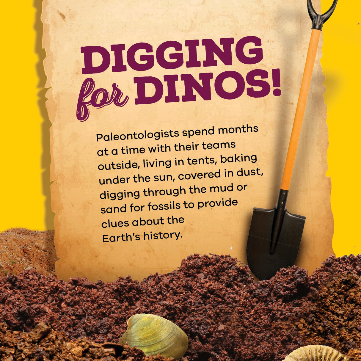 Dan&Darci Real Fossil Dig Kit for Kids - Science Kits for Boys & Girls Age 8-12 - Birthday Gift Ideas for 8, 9, 10, 11, 12 Year Old Boy or Girl - Fossils Digging STEM Toys for Ages 8-13 Dan&Darci