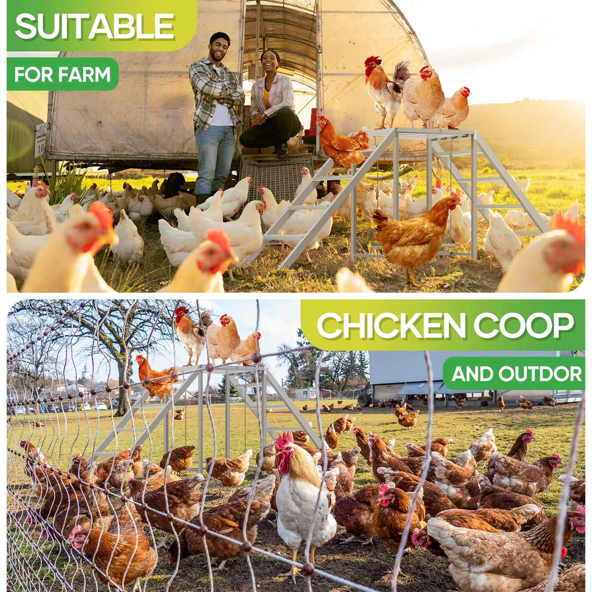 Chicken Perch for Coop with Swing Set,Chicken Ladder coop Toys,Chicken Roosting Bars, Chicken Run Accessories,Suitable for Pet's Health & Happy,Chicken Coop Toys for Backyard Farm Shinoske