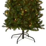 National Tree Company Artificial Pre-Lit Slim Christmas Tree, Green, Kingswood Fir, White Lights, Includes Stand, 9 Feet National Tree Company