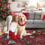 GarveeHome Christmas Rug 5x7 Boho Non-Slip Stain Resistant Machine Washable Rug for Bedroom,Large Neutral Low-Pile Area Rug for Living Room Bedroom Kitchen Office, Red GarveeHome