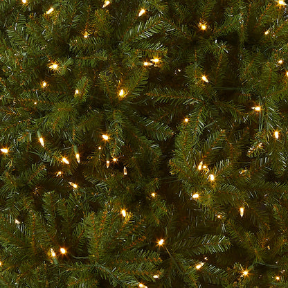 National Tree Company Pre-Lit Artificial Full Christmas Tree, Green, Dunhill Fir, Dual Color LED Lights, Includes Stand, 10 Ft