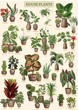 Vintage Houseplant Puzzle 1000 Pieces for Adult, Botany Succulent House Plant Puzzle, 39 Common Indoor Plants Jigsaw Puzzles BBOLDIN
