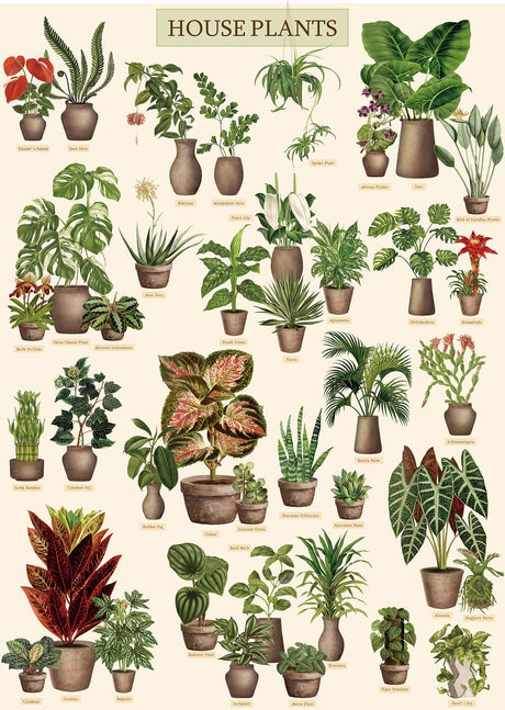 Vintage Houseplant Puzzle 1000 Pieces for Adult, Botany Succulent House Plant Puzzle, 39 Common Indoor Plants Jigsaw Puzzles BBOLDIN