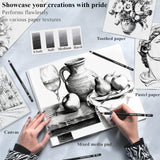 Charcoal Pencils for drawing, Set of 12, Charcoal Drawing Pencils (S-Soft, Soft, Medium, Hard), Art Supplies for Artist, Sketching, Shading Aenir