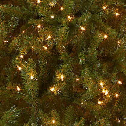 National Tree Company Pre-Lit Artificial Full Christmas Tree, Green, Dunhill Fir, White Lights, Includes Stand, 9 Feet