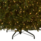 National Tree Company Pre-Lit Artificial Full Christmas Tree, Green, Dunhill Fir, Dual Color LED Lights, Includes PowerConnect and Stand, 12 Feet National Tree Company