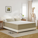 PurrJoys Queen Mattress Firm, 14 Inch Queen Size Mattress in a Box,Hybrid Memory Foam Queen Mattress with Individual Pocket Spring for Motion Isolation & Pressure Relief PurrJoys