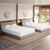 Yaheetech 10 Inch Queen Mattress 3 Foam Layer Cooling Gel Memory Foam Mattresses, Green Tea for Fresher Sleep, Queen Size Mattress in a Box, Medium Firm, CertiPUR-US Certified Yaheetech