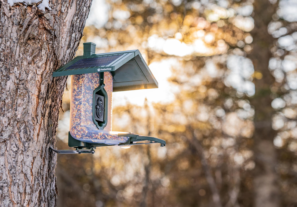 FeatherSnap Scout Wi-Fi Solar Powered Smart Bird Feeder - Automatically Captures HD Pictures and Videos! Best Gift for Bird Watchers! Dual Seed chamber - Feather Snap FeatherSnap