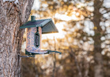 FeatherSnap Scout Wi-Fi Solar Powered Smart Bird Feeder - Automatically Captures HD Pictures and Videos! Best Gift for Bird Watchers! Dual Seed chamber - Feather Snap FeatherSnap