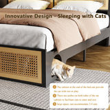 affeivul Boho Bed Frame Queen Size with Headboard, Rattan Bed Frame with Led Lights, Farmhouse Bed Frame with Storage, Charging Station and Cat Cabinet, NO Box Spring Needed, Metal and Wood Combine affeivul