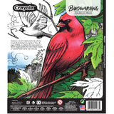 Crayola Bird Coloring Book (40pgs), Adult Coloring Pages, 8.5 x 10, Stress Relieving Coloring, Mindfulness Activity for Adults Crayola