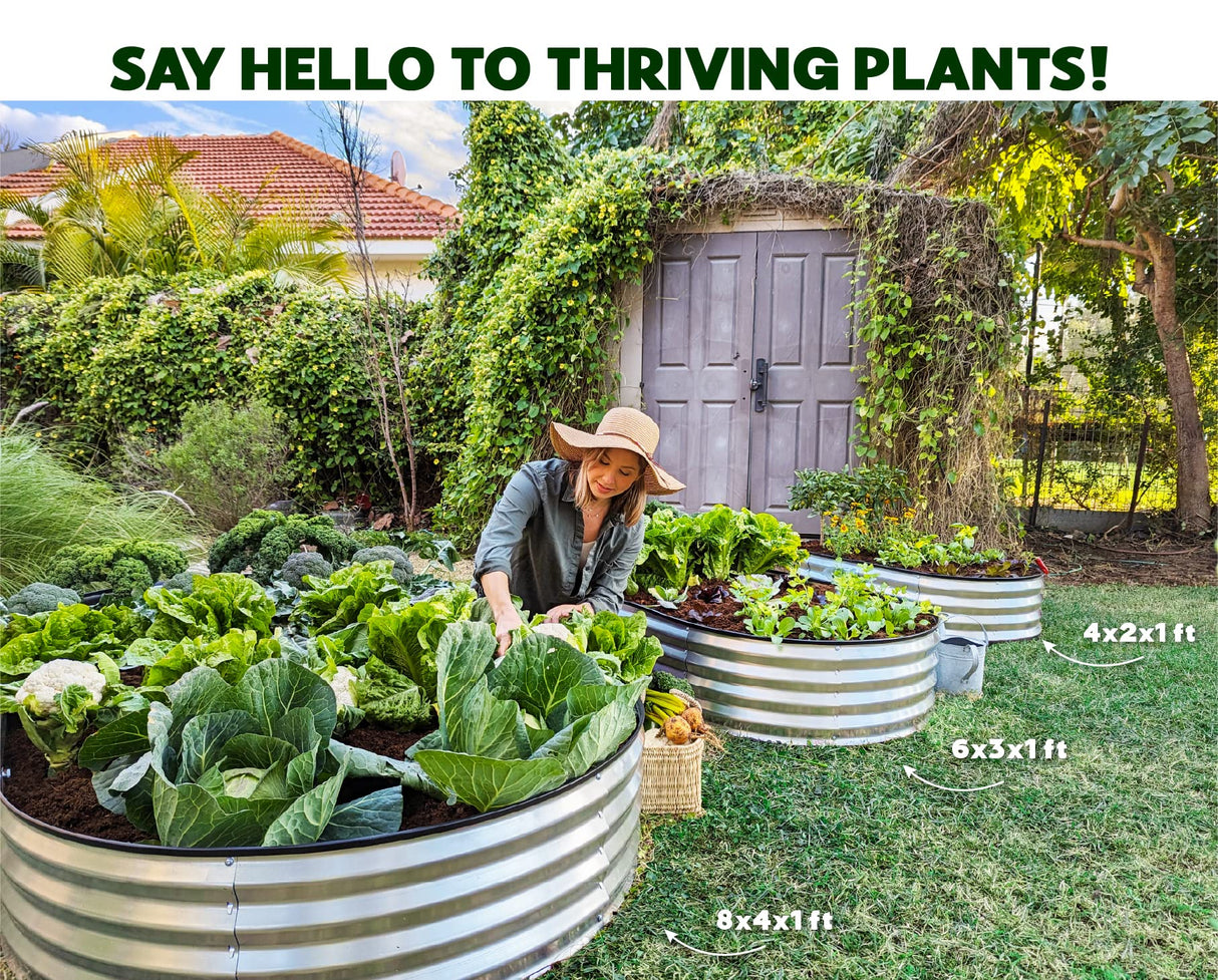 Galvanized Raised Garden Beds Outdoor // 4×2×1 ft Planter Raised Beds for Gardening, Vegetables, Flowers // Large Metal Garden Box (Silver) // Patented Tool-Free Design Plant & Plot