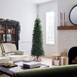 National Tree Company Artificial Slim Christmas Tree, Green, Kingswood Fir, Includes Stand, 7 Feet National Tree Company