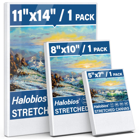 Halobios Stretched Canvases for Painting with 11x14 Inch, 5x7 Inch, 8x10, Painting Canvas for Acrylics,Oils & Other Painting Media, 5/8 Inch Profile 100% Cotton Artist Framed Canvas(3 Packs) Halobios