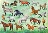 Horses Jigsaw Puzzle, 500 Pieces - Magnificent Horses, 20" x 14" - with 32 Page Pocket Field Guide - Great Gift for Horse Lovers Insight Editions