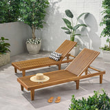 Christopher Knight Home Nadine Outdoor Wooden Chaise Lounge (Set of 2), 78.75 "W x 24 "D x 12 "H, Teak Christopher Knight Home