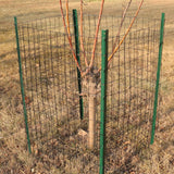 FOREHOGAR Black PVC Coated Welded Wire Fence 24 Inch x 50 Foot, 2 Inch x 3 Inch 16GA, Garden Border Fencing Roll Vinyl Coating Metal Wire Mesh for Yard Vegetable Plant Protection Poultry Netting FOREHOGAR