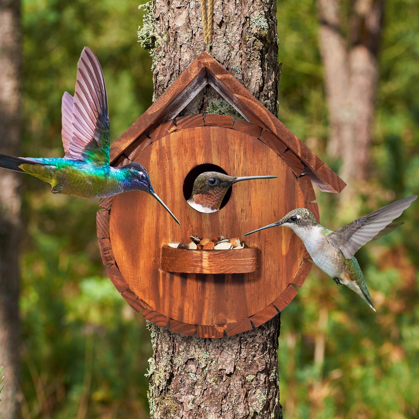 Set of 2 MIXUMON Bird Houses for Outside, Outdoor 2 Bird House Room for 2 Bird Families Bluebird Finch Cardinals Hanging Birdhouse for Garden