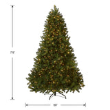 National Tree Company Pre-Lit 'Feel Real' Artificial Full Downswept Christmas Tree, Green, Douglas Fir, Dual Color LED Lights, 7.5 feet National Tree Company