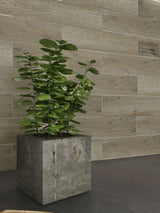 W&S 1 Piece Caesious Grey 3" x 12" Peel and Stick Wood Panels for Walls, Stick on Wood Look Tile for RV,Living Room,Accent Wall,Faux Wood Paneling for Kitchen Backsplash,Self Adhesive Wall Planks W&S WOOD & STONE