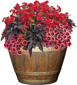 Classic Home and Garden Whiskey Plastic Resin Flower Pot Barrel Planter, 15", Oak Brown (2 Pack) Classic Home and Garden