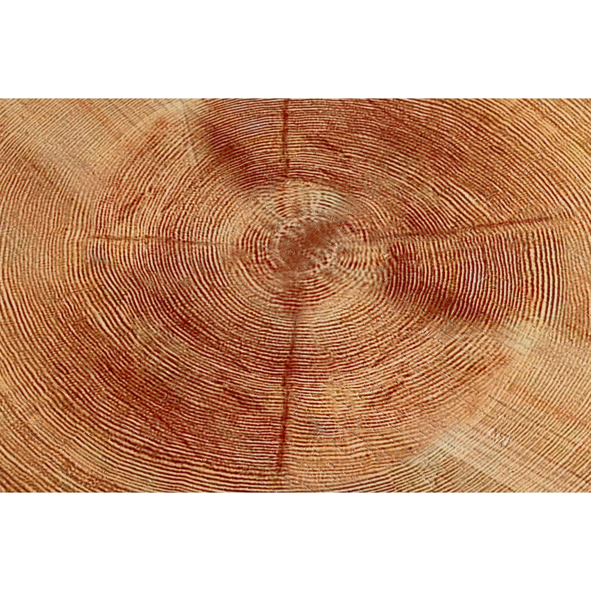 COZAYH 2-Piece Modern Farmhouse Living Room Coffee Table Set, Nesting Table Round Natural Finish with Handcrafted Wood Ring Motif, Light Red + Wood Color COZAYH