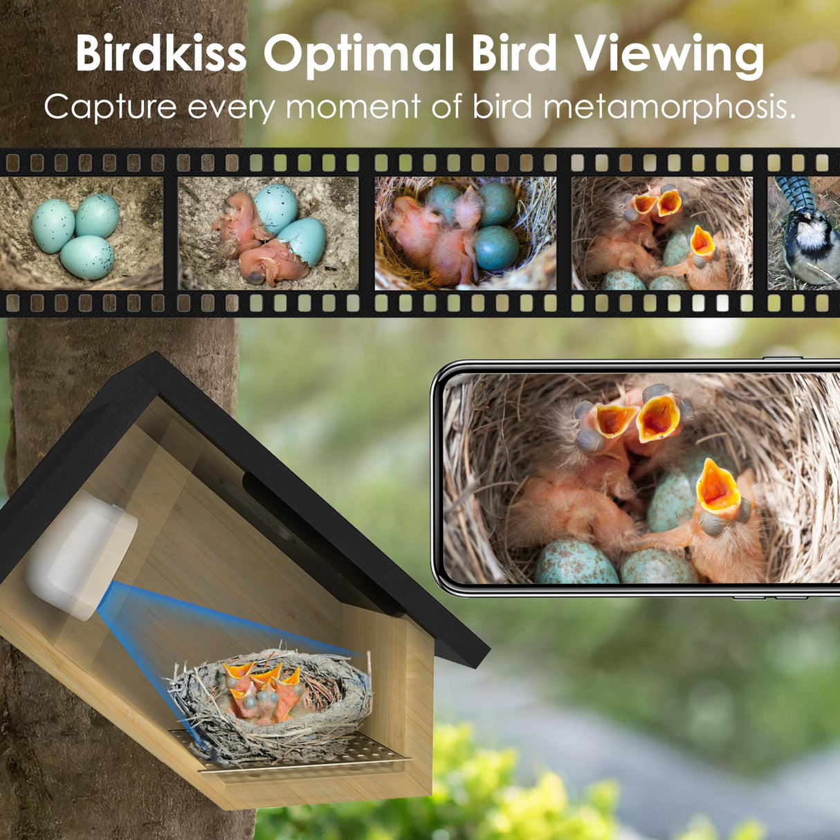 Birdkiss Smart Bird Houses for Outside Solar Powered, 1080P HD Live View Birdhouse with Camera, Perfect Viewing Bird Nesting and Hatching, Ideal Outdoors Bird House for Blue Bird and Cardinal (Black) Birdkiss
