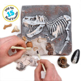 DANCING BEAR Fossil Dig Kit, Excavate 15 Prehistoric Fossils Including Real Dinosaur Bones and Shark Teeth, Paleontology STEM Education for Kids, Fun Science Activity Gift Sets for Girls and Boys DANCING BEAR