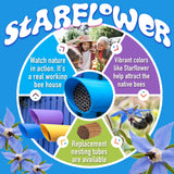 Rivajam Color Splash Mason Bee House - Vibrant & Strong Waterproof Bee Hotel & Insect Habitat - Mason Bee Tubes Filled Bee Houses for The Garden - Pollinator House Bug Hotel Gardening Gifts Rivajam