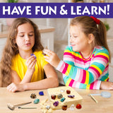 DANCING BEAR Gem stone Dig Kit, Excavate 16 Real Gems & Crystals including Arrowheads, Quartz Point and Amethyst, STEM Education for Kids, Fun Rock Mining Science Activity Gift Sets for Girls and Boys DANCING BEAR
