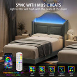 GarveeHome Upholstered Twin Bed Frame with LED Lights, Velvet Platform Bed Frame with Wing Back Storage Headboard, Wood Slats Support, No Box Spring Needed, Easy Assembly, Blue GarveeHome