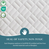 Sleepmax Firm Queen Mattress 14 Inch - Deep Sleep Hybrid Mattress Pain Relief - No Sagging Bed in a Box for Back Side Sleepers - Extra Support, Fiberglass-Free, CertiPUR-US Certified, 365-Night Trial Sleepmax