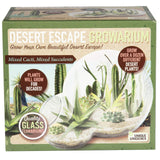 Grow Your Own Desert Escape in A Quality Glass Terrarium Starter Kit with Complete Supplies - Easy to Maintain Indoor Cacti and Succulents - Over A Dozen Desert Plants That Will Last for Years! Unique Gardener