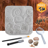 Discovery™ Colossal Fossil Dig Set, 15-Piece Archeology Excavation Kit, Uncover Real Shark Teeth & More, Every Fossil Set is Unique, STEM Toys for Boys and Girls Discovery Kids