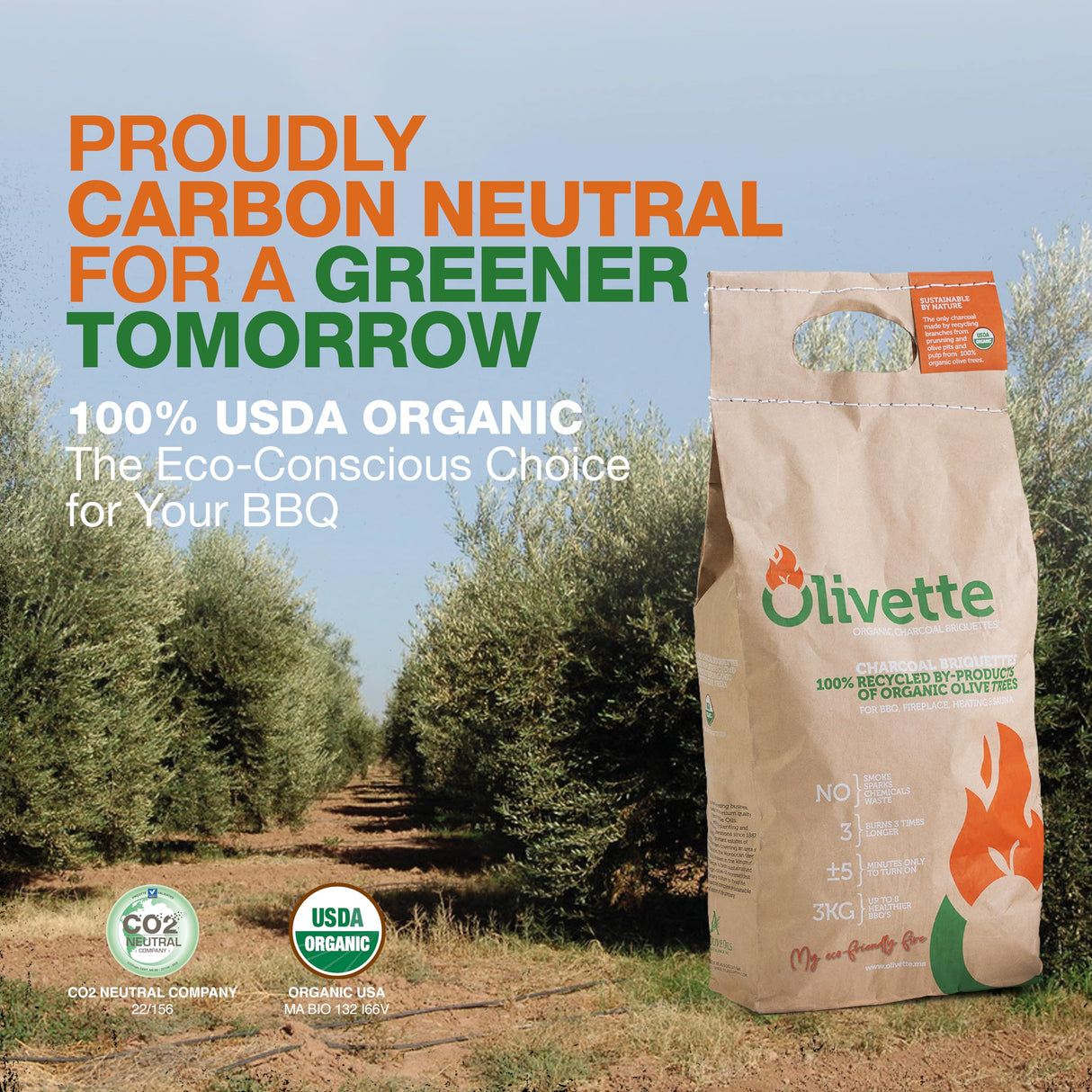 Organic Charcoal Briquettes by Olivette, Reusable Charcoal for Grilling, USDA Certified, Recycled Olive Tree Byproduct, Ready to Light, 6.6 lb. Bag Equal to 20 lb. of a Regular Charcoal, 2-Bag Pack Olivette